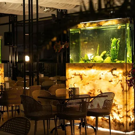 Rome Palace Deluxe - Premium